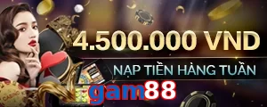 gam88