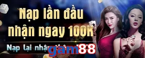 gam88